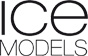 logo Icemodels